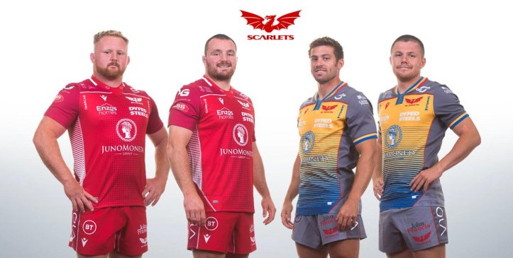 Scarlets Rugby 2019