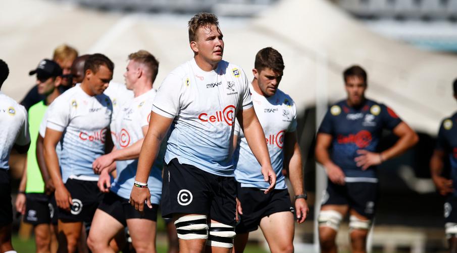 comprar camisetas rugby Sharks